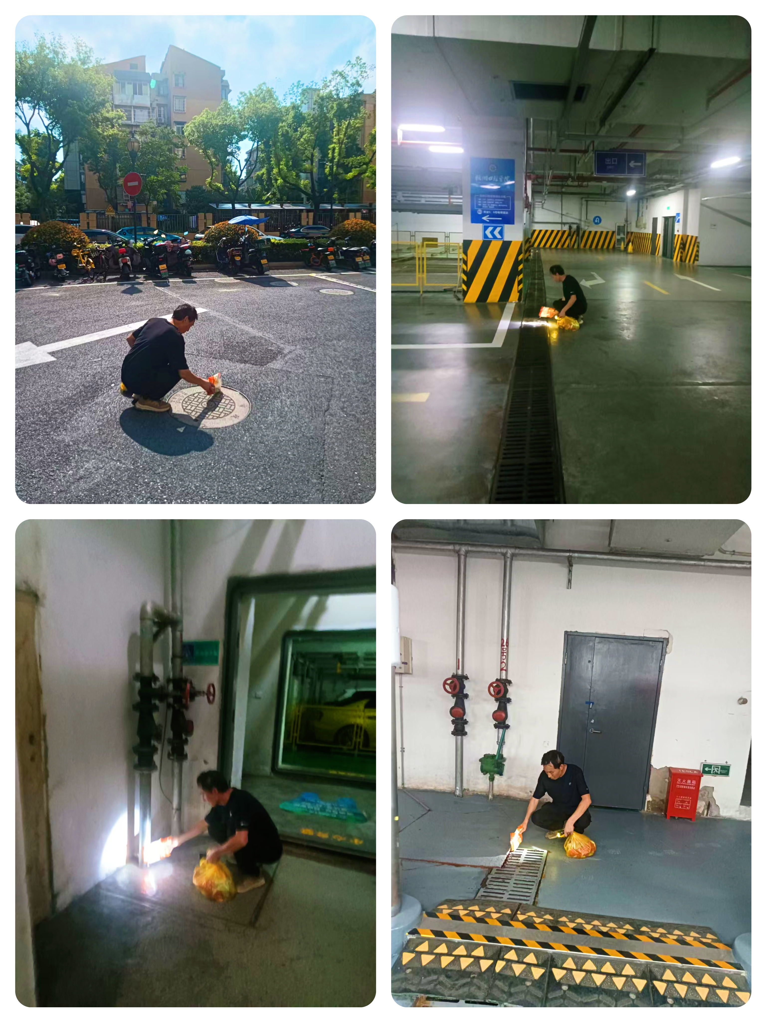 水晶城开展“清积水、除四害”专项行动 筑牢康健防地