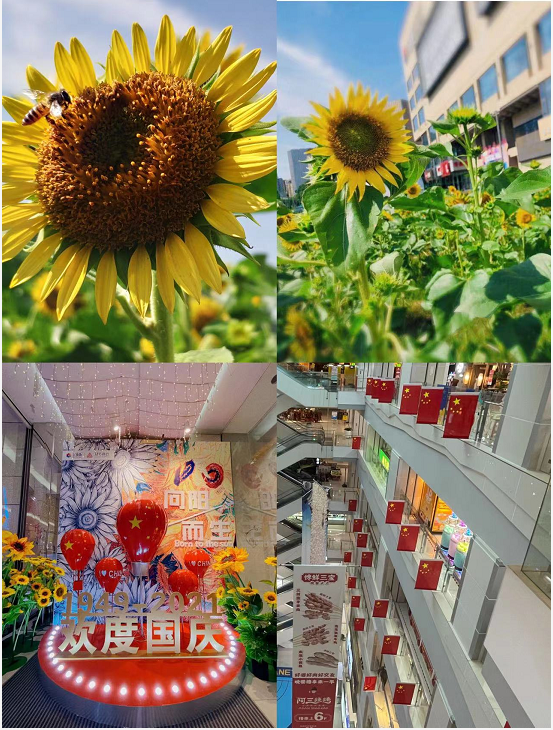 盛世华诞，，，，，，，水晶城喜迎国庆