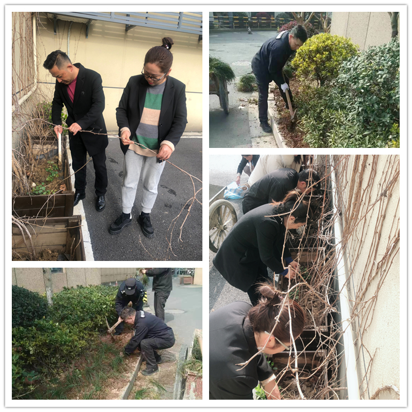 春季绿化正其时——利记官网平台入口文创集团扎实开展情形提升