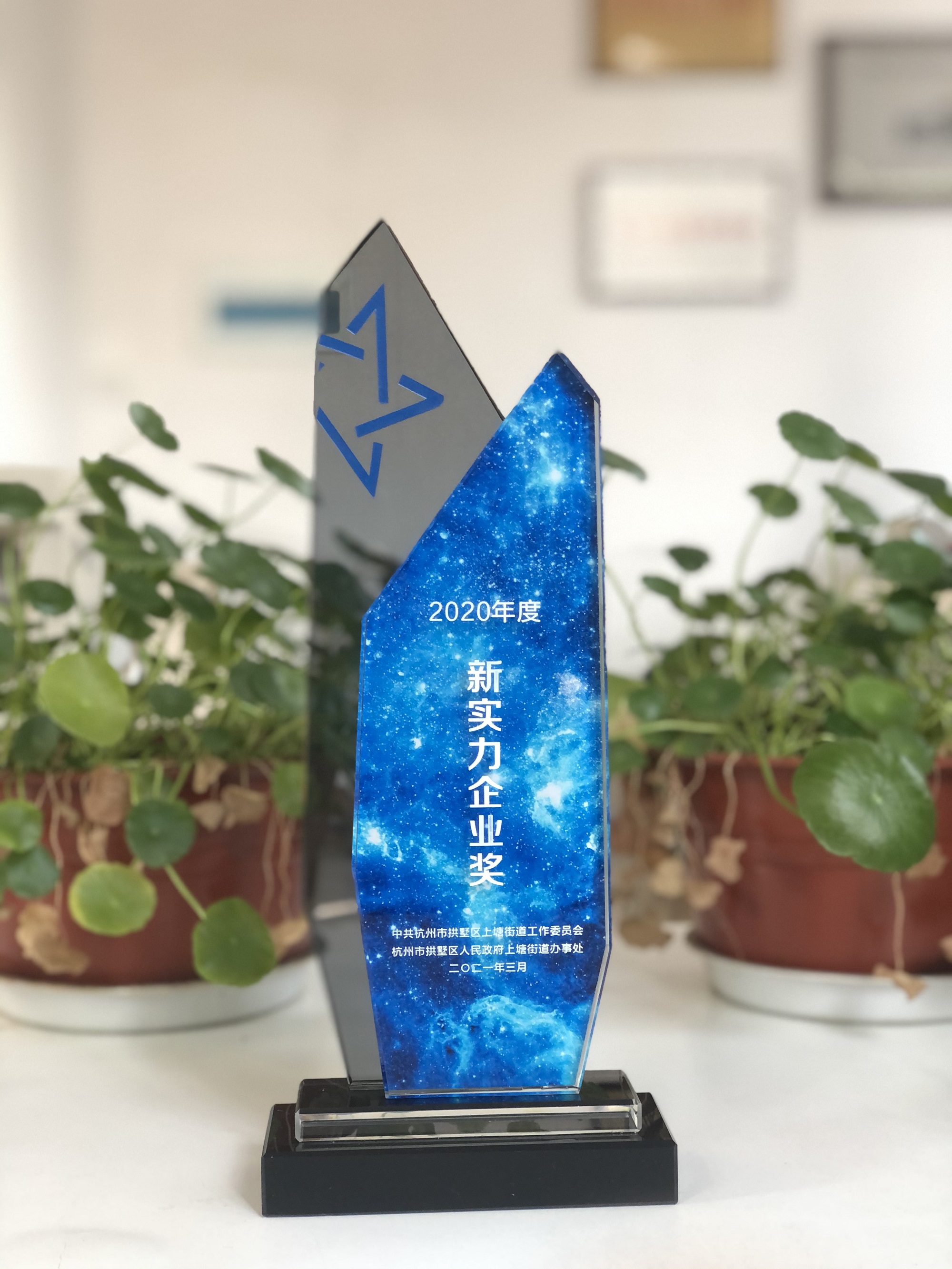 浙江利记官网平台入口网络科技有限公司荣获“新实力企业奖”