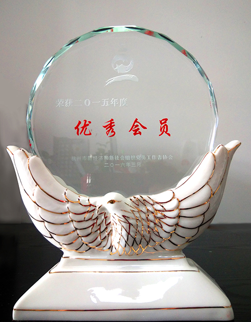 20160311杭州市两新协会优异会员 (2).jpg