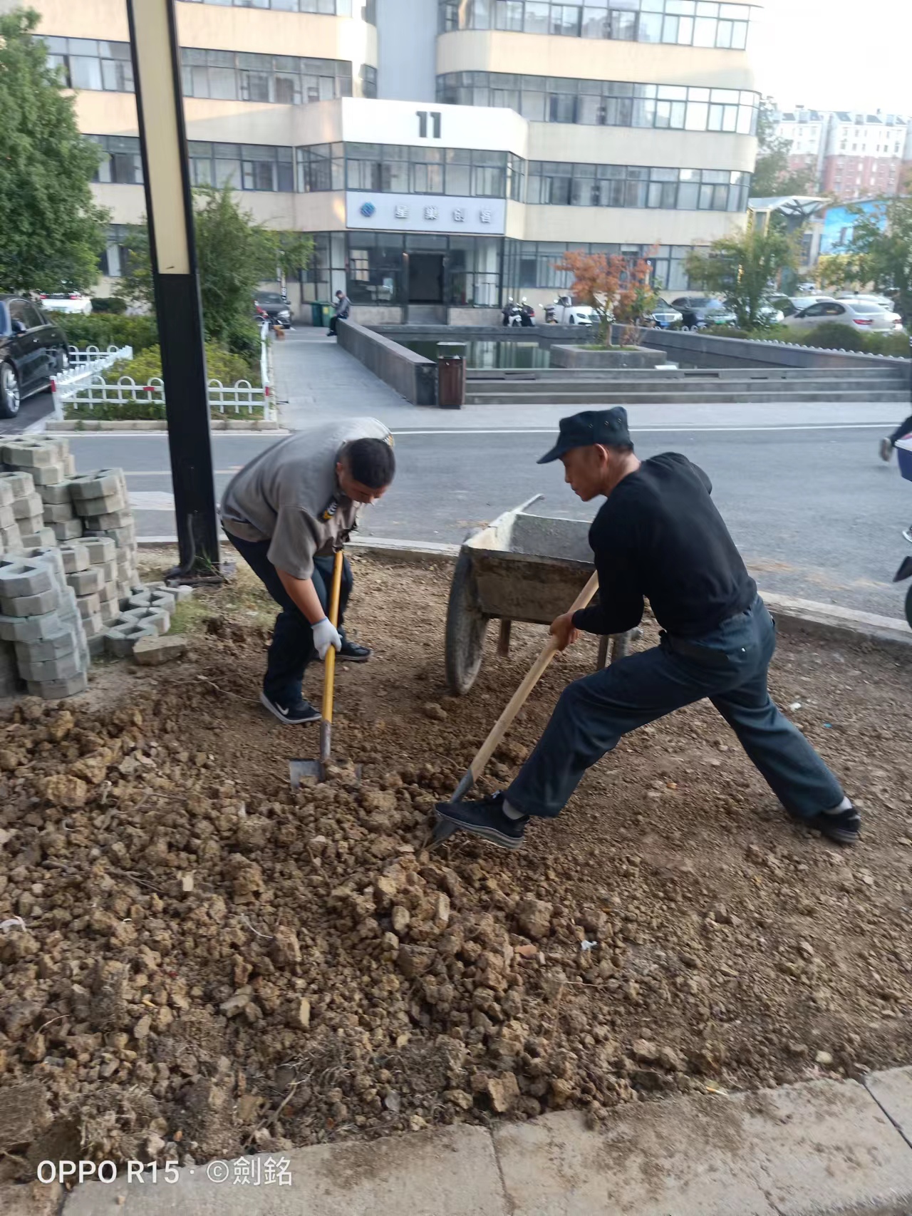 庐阳利记官网平台入口文创园开展情形优化行动