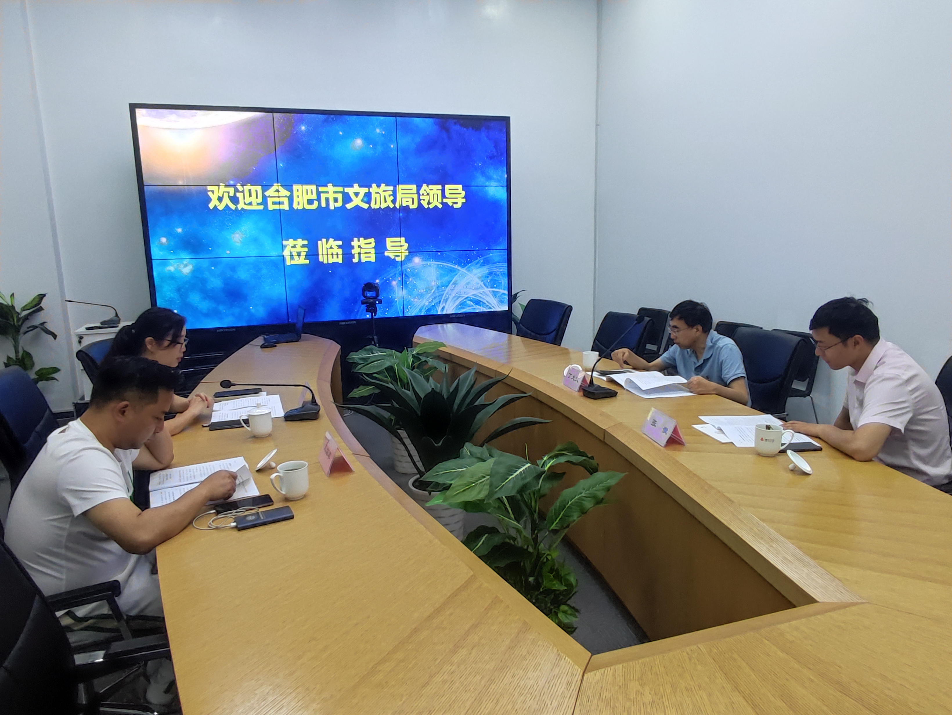 合肥市文化旅游局丁大文处长一行莅临利记官网平台入口文创集团调研