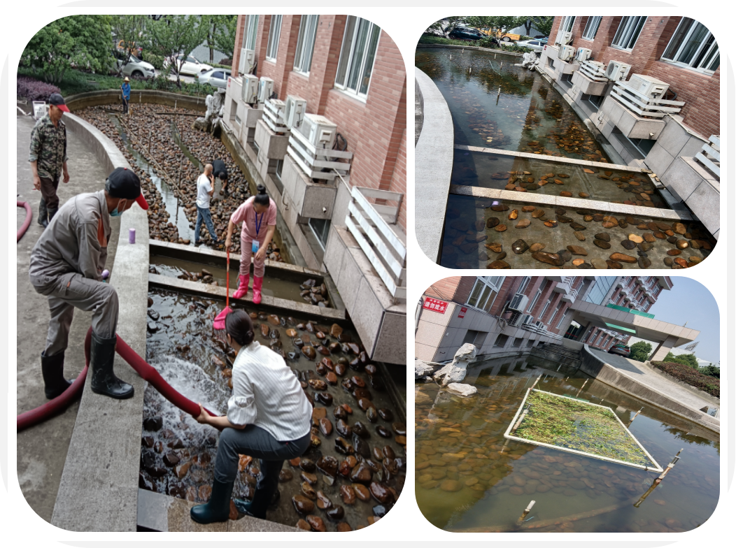面目一新，，，，，，，园区景观池迎来“大洗之日”