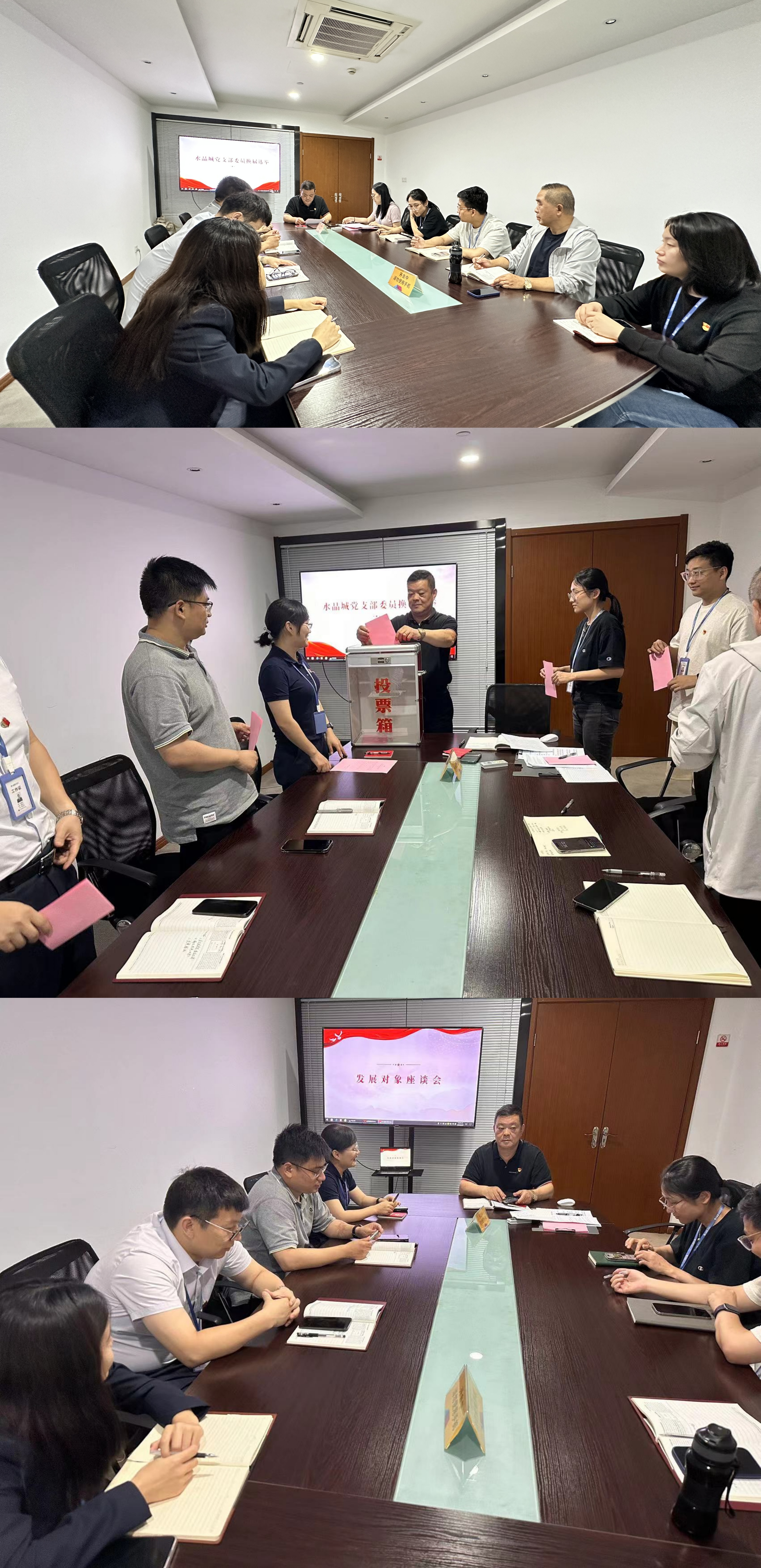 水晶城召开党支委换届选举及生长工具座谈会